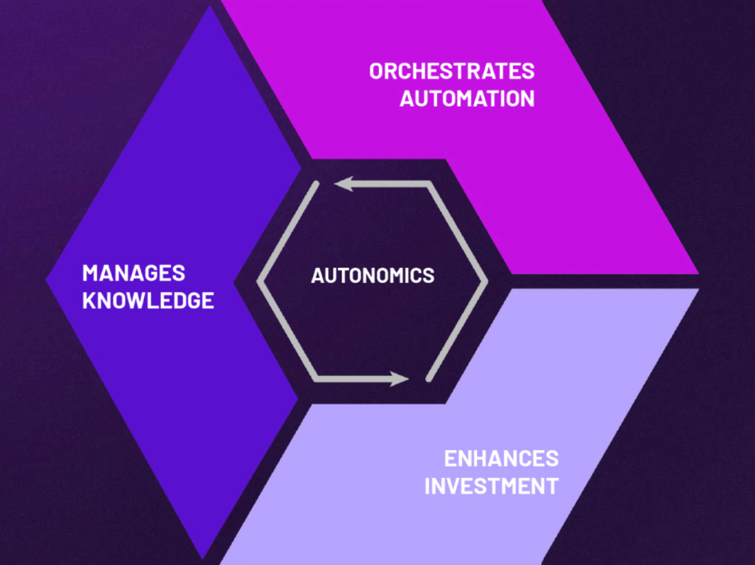 A hexagonal diagram split into three larger hexagons surrounding a central, smaller hexagon. The central hexagon says AUTONOMICS and has a circular arrow with two arrowheads around it. The surrounding hexagons are in different shades of purple and each contains text. The top right hexagon says ORCHESTRATES AUTOMATION. The left hexagon says MANAGES KNOWLEDGE. The bottom right hexagon says ENHANCES INVESTMENT.